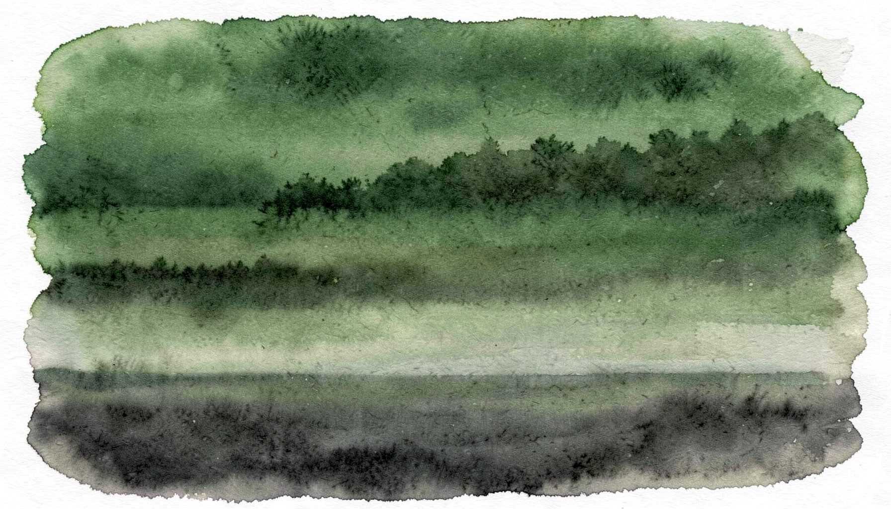 A soft watercolour wash of deep forest green fading into muted olive and charcoal, with gentle horizontal bands suggesting a quiet, contemplative dawn over still water.